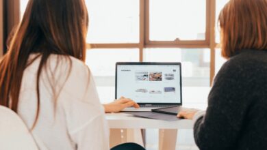 PEO Service Provider